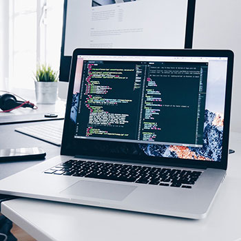 人与狗做爱视频